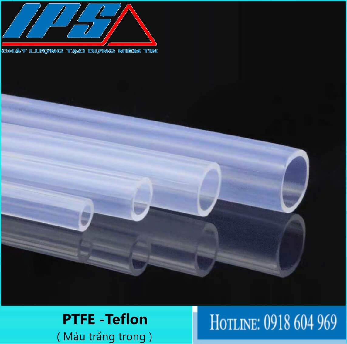 PTFE trắng trong -3(1).